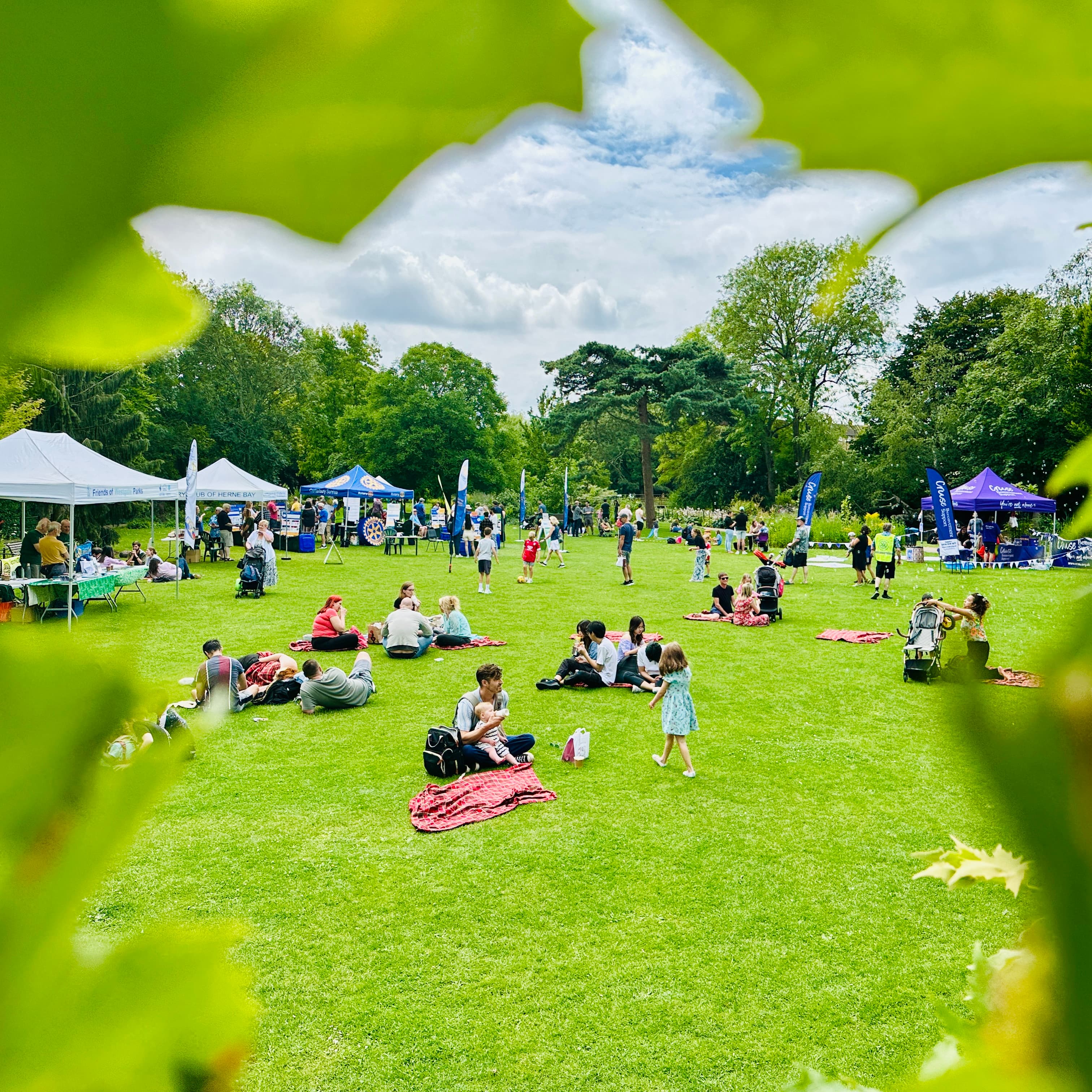 Families enjoying the green at the show